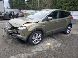 Ford Escape sel salvage cars for sale: 2013 Ford Escape SEL