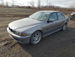 BMW salvage cars for sale: 2003 BMW 530 I Automatic