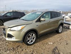 Ford Escape sel Vehiculos salvage en venta: 2013 Ford Escape SEL