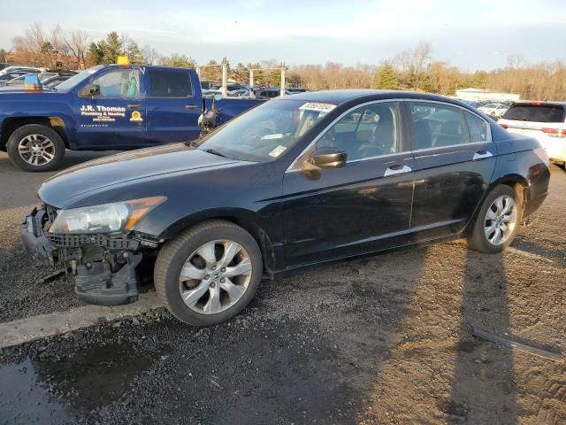 2010 Honda Accord EXL