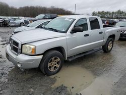 Dodge Dakota salvage cars for sale: 2007 Dodge Dakota Quad SLT