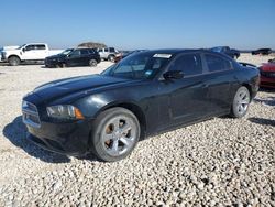 Dodge Charger salvage cars for sale: 2014 Dodge Charger SE