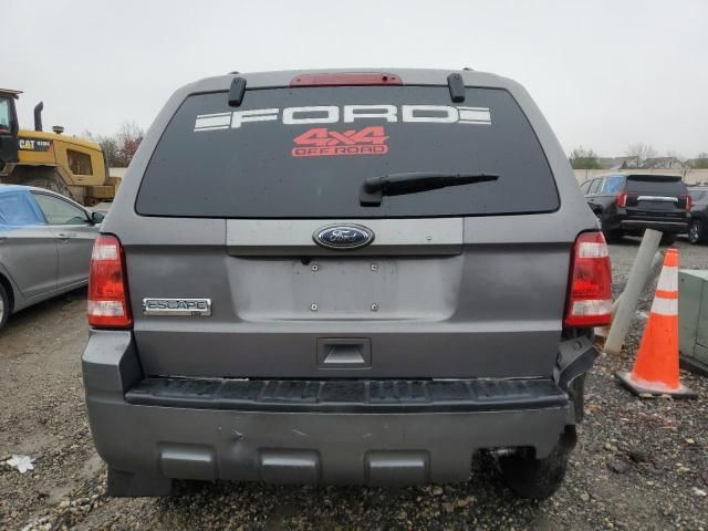 2010 Ford Escape XLT