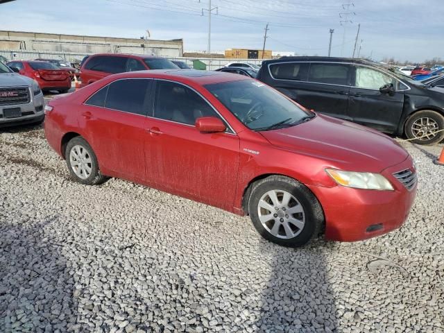 2008 Toyota Camry Hybrid