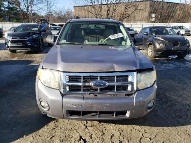 2008 Ford Escape XLT