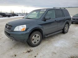 Honda Pilot salvage cars for sale: 2005 Honda Pilot EXL