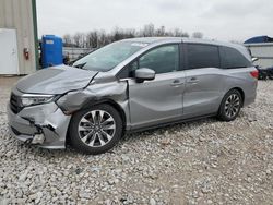 Honda Odyssey exl salvage cars for sale: 2023 Honda Odyssey EXL