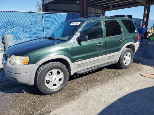 2002 Ford Escape XLT