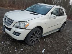 Mercedes-Benz salvage cars for sale: 2011 Mercedes-Benz ML 350 Bluetec