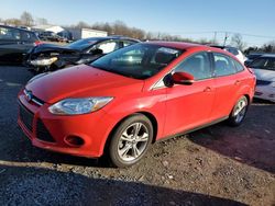 Ford Focus salvage cars for sale: 2014 Ford Focus SE