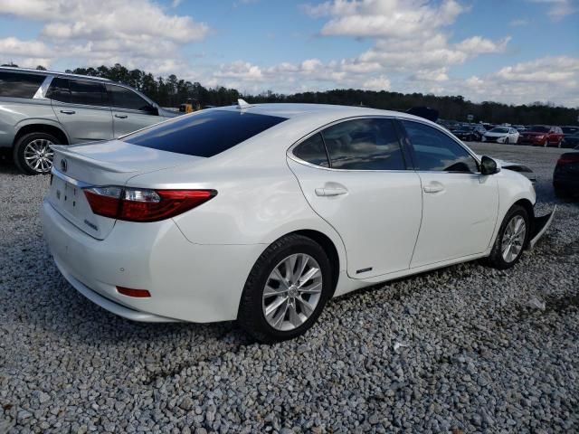 2014 Lexus ES 300H