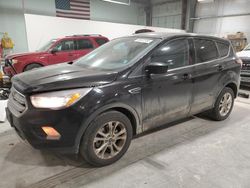 Ford Escape salvage cars for sale: 2017 Ford Escape SE