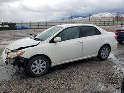 Salvage cars for sale from Copart Magna, UT: 2011 Toyota Corolla Base