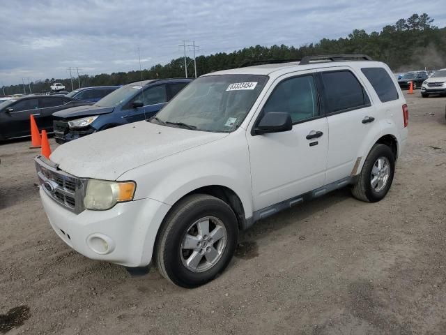 2010 Ford Escape XLT