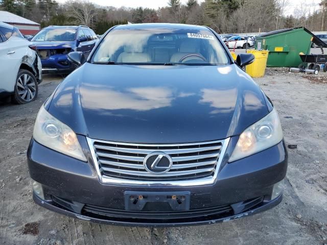 2010 Lexus ES 350