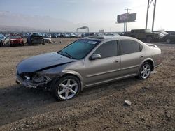 Nissan Maxima salvage cars for sale: 2002 Nissan Maxima GLE