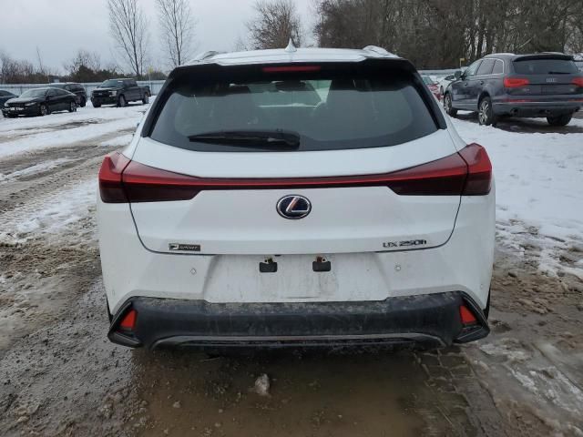 2021 Lexus UX 250H