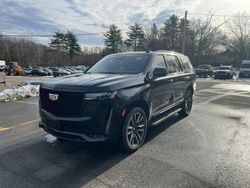 Cadillac salvage cars for sale: 2021 Cadillac Escalade Sport