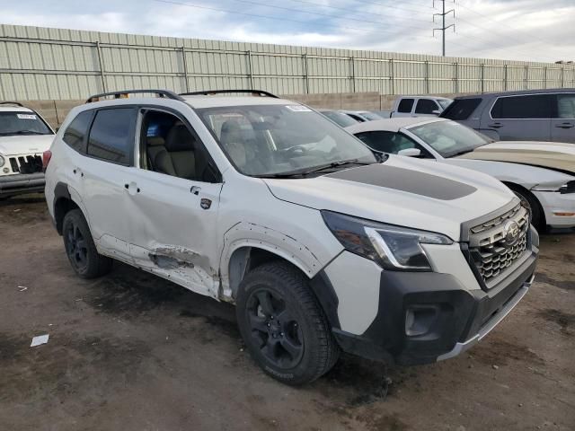 2023 Subaru Forester Wilderness