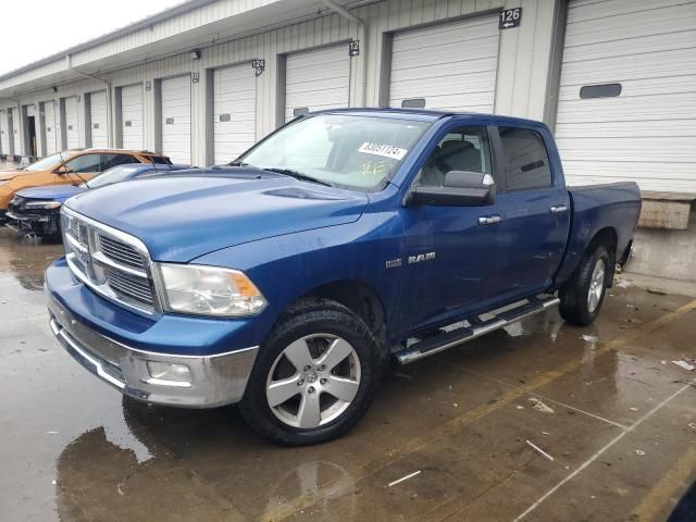 2010 Dodge RAM 1500