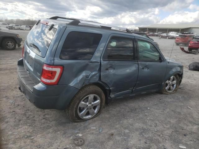 2011 Ford Escape Limited