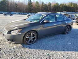 Nissan Maxima salvage cars for sale: 2013 Nissan Maxima S