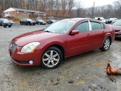 Nissan Maxima salvage cars for sale: 2004 Nissan Maxima SE