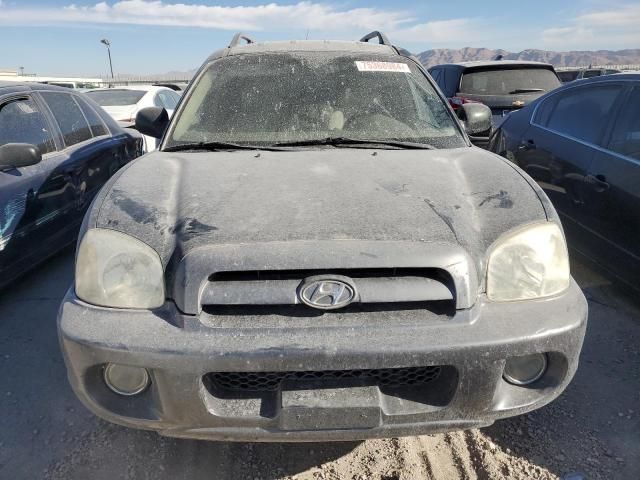 2006 Hyundai Santa FE GLS