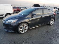 Ford Focus salvage cars for sale: 2013 Ford Focus ST