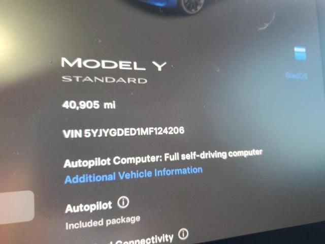 2021 Tesla Model Y