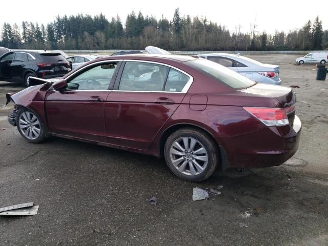 2011 Honda Accord EXL