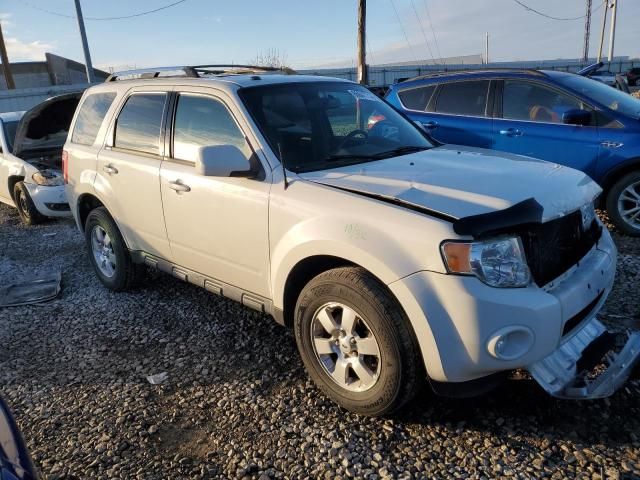 2011 Ford Escape Limited