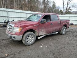 Ford f-150 salvage cars for sale: 2013 Ford F150 Supercrew