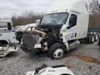 2019 Freightliner Cascadia 126