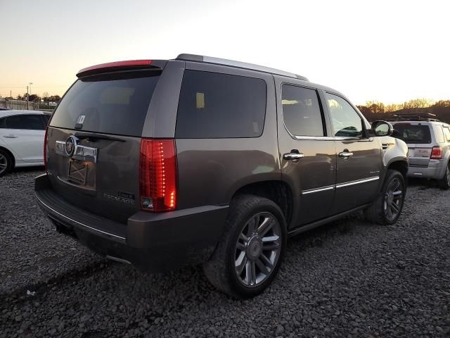 2013 Cadillac Escalade Platinum