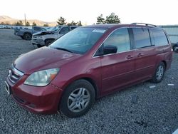 Salvage cars for sale from Copart Reno, NV: 2005 Honda Odyssey EX