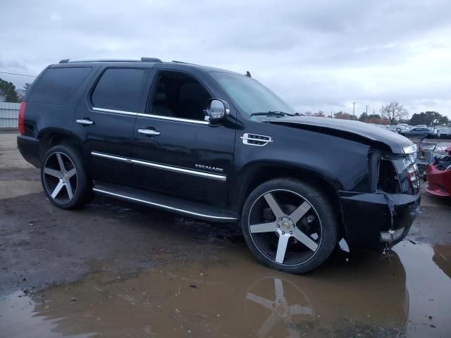 2007 Cadillac Escalade Luxury