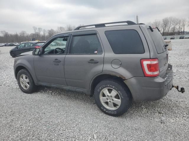 2012 Ford Escape XLT