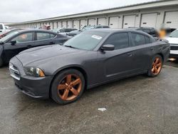 Dodge salvage cars for sale: 2013 Dodge Charger SE