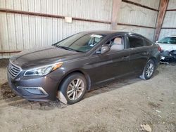 Hyundai Sonata salvage cars for sale: 2015 Hyundai Sonata SE