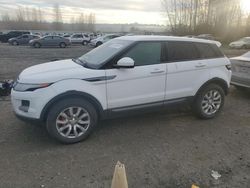 Land Rover Range Rover salvage cars for sale: 2014 Land Rover Range Rover Evoque Pure