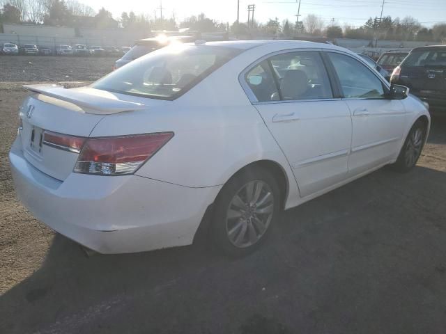 2011 Honda Accord EXL