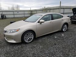 Lexus es 350 salvage cars for sale: 2014 Lexus ES 350