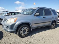 Honda crv Vehiculos salvage en venta: 2005 Honda CR-V LX