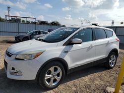 Salvage cars for sale from Copart Kapolei, HI: 2014 Ford Escape SE