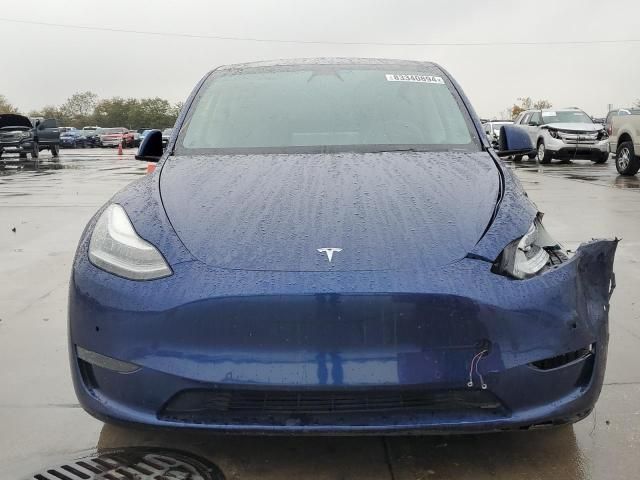 2020 Tesla Model Y