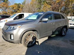 KIA Sorento salvage cars for sale: 2014 KIA Sorento SX