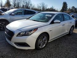 Hyundai Sonata salvage cars for sale: 2017 Hyundai Sonata Hybrid