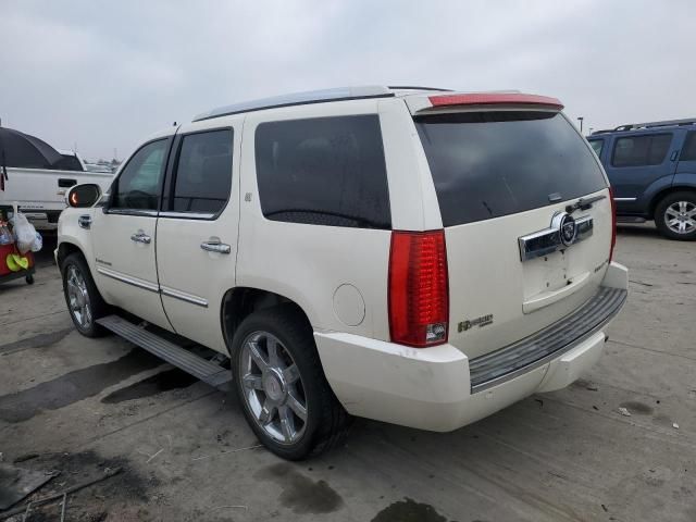 2009 Cadillac Escalade Hybrid