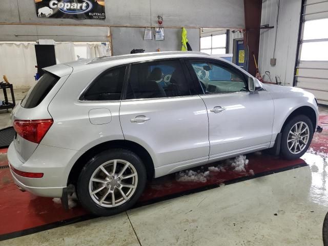 2010 Audi Q5 Premium Plus